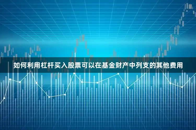 如何利用杠杆买入股票可以在基金财产中列支的其他费用