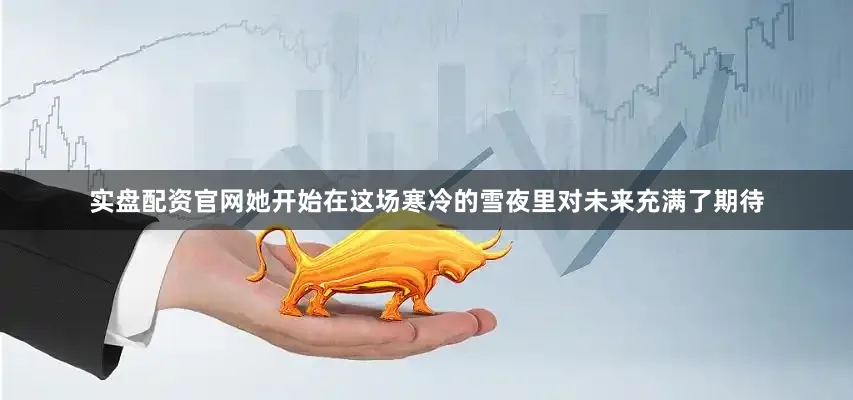 实盘配资官网她开始在这场寒冷的雪夜里对未来充满了期待