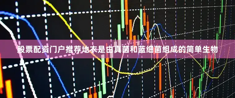 股票配资门户推荐地衣是由真菌和蓝细菌组成的简单生物