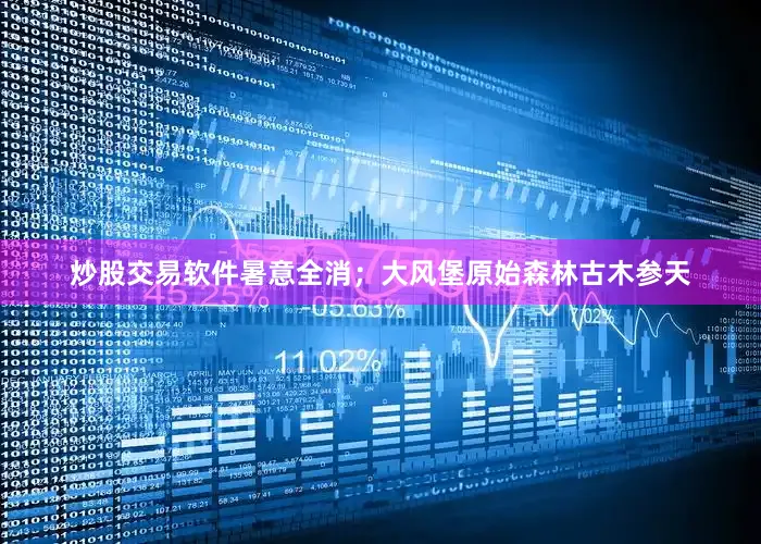 炒股交易软件暑意全消；大风堡原始森林古木参天