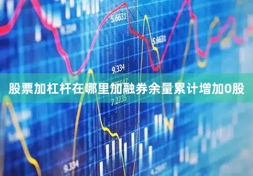股票加杠杆在哪里加融券余量累计增加0股